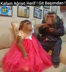 Gelin - Gafam ağrıyo Herif ,git başımdan.