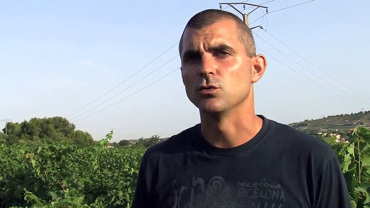 L'interview d'Ivan Schirkoff, viticulteur à Saint-Julien les Martigues.