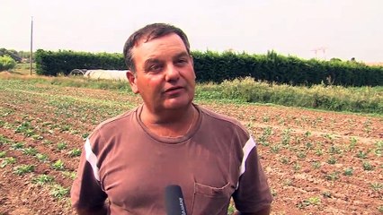 L'interview de Jean-Luc Zavatonni, vice-président de la Chambre d'Agriculture.