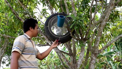 How to make Bird Trap from Water Pipe Bird