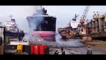 MOST AMAZING SHIP CRASHES | Daily Funny | Funny Video | Funny Clip | Funny Animals