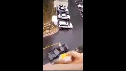 SANDWICH THROW  (So you think she made it) | Daily Funny | Funny Video | Funny Clip | Funny Animals