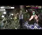 歌舞伎俳優 市川海老蔵、成田屋の「見得」を3人に生披露！｜＼明日から、アップするよ／『72時間ホンネテレビ』見どころ続々ビデオで公開中！