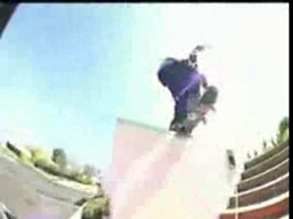 Stevie williams
