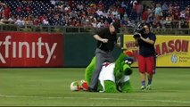 TOP 12 FUNNY SPORTS MASCOTS | Daily Funny | Funny Video | Funny Clip | Funny Animals