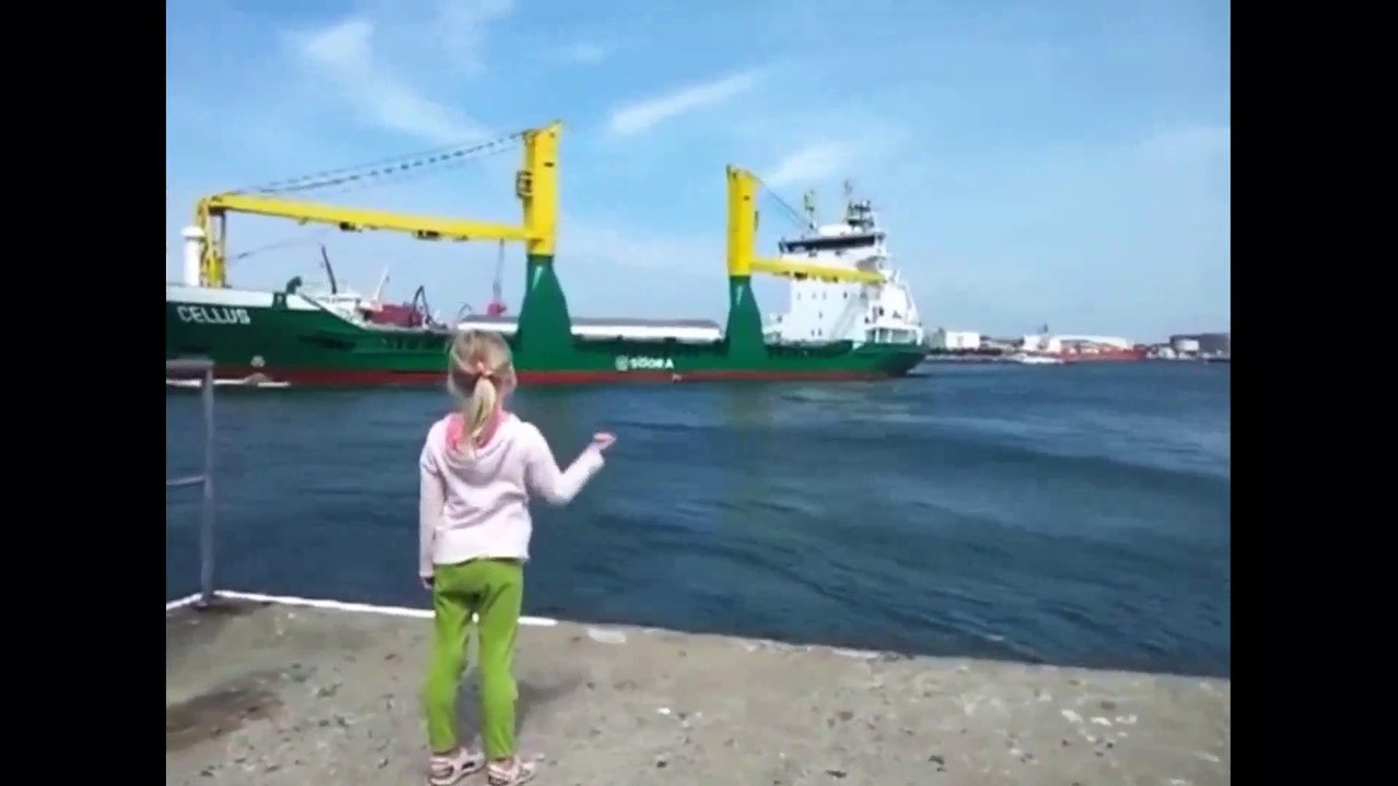 VIRAL SCARING LITTLE GIRL BY SHIP HORN | Daily Funny | Funny Video | Funny Clip | Funny Animals