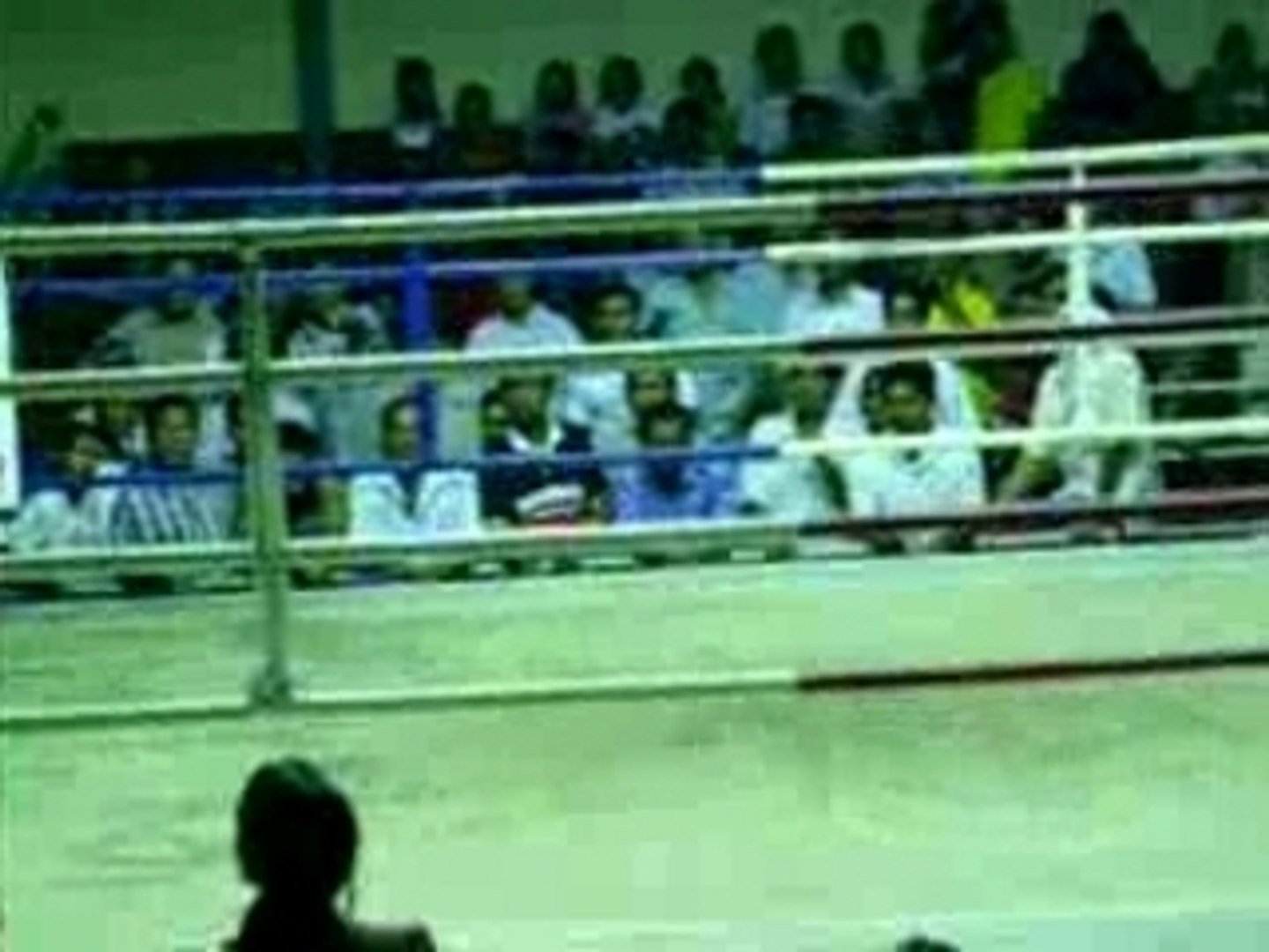 muay thai