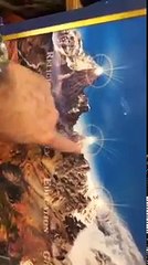 Did you see the latest Donald Trump prediction?Im off to D.C. to see whats happening!