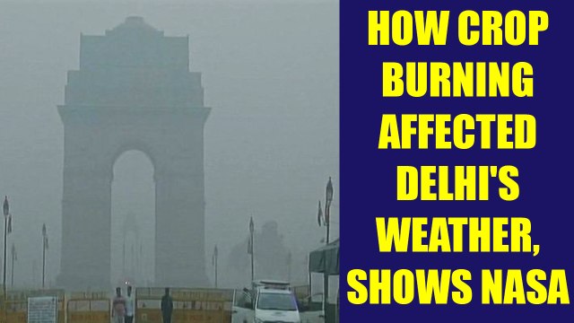 Delhi Air Pollution : NASA satellite reveals how stubble burning worsened weather | Oneindia News