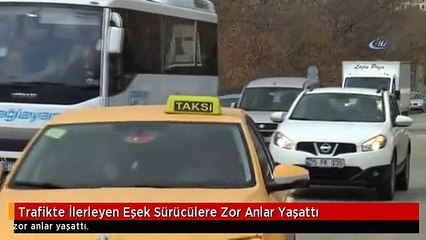 Trafikte İlerleyen Eşek Sürücülere Zor Anlar Yaşattı