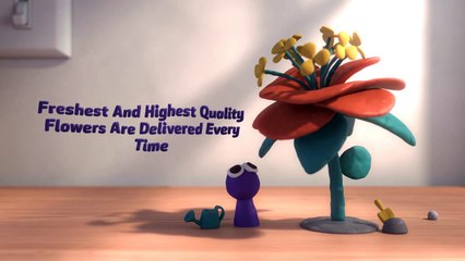 Best Flowers in Denver CO | 720-903-2533