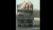 2 cochons se prennent dans le camion du fermier en plein transport sur l'autoroute !