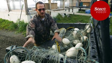 Tuttuğu balıklardan ayakkabı yapıyor