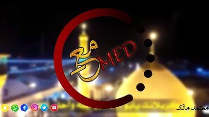 كربلائك يابو الاكبر || الحاج باسم الكربلائي