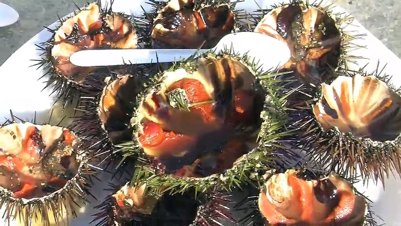 Ceux qui ont goûté à ces Oursinades 2012 vous disent ce qu'ils en pensent !