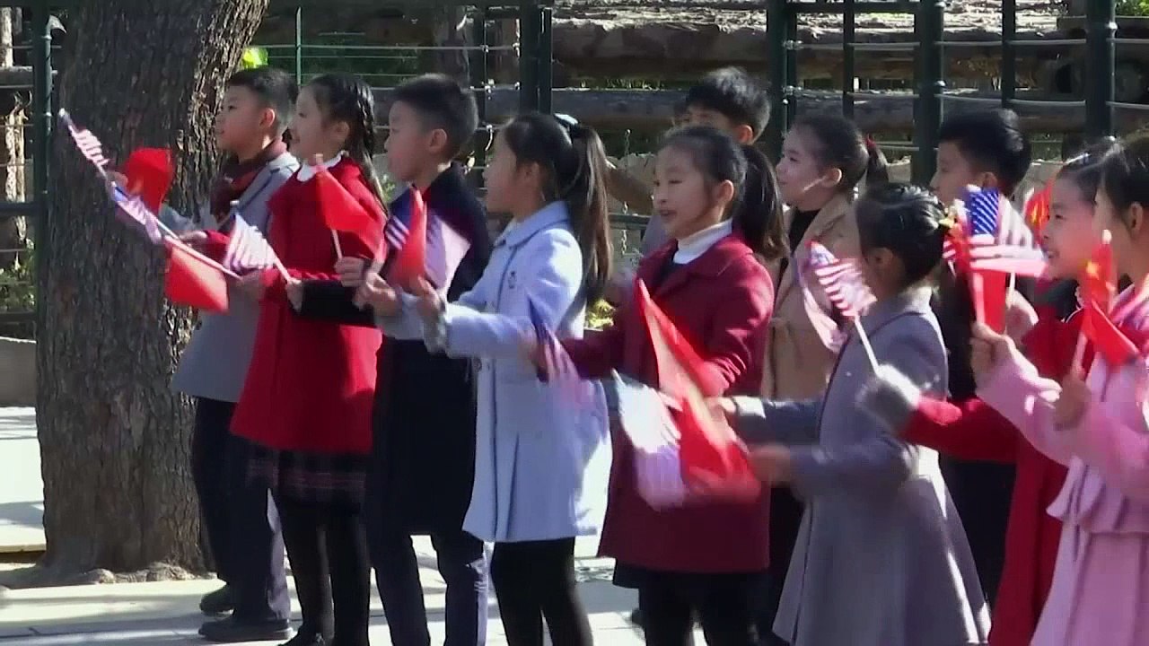 Melania Trump meets pandas during last day in Beijing