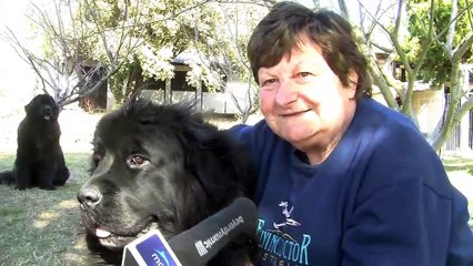 Mireille a fait garder ses chiens par un dog sitter