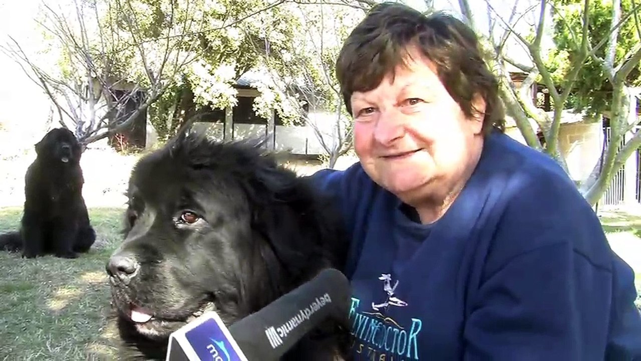 Mireille a fait garder ses chiens par un dog sitter