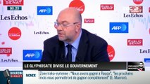 Président Magnien ! : Le glyphosate divise le gouvernement - 10/11