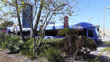 The Mass Transit Buses of Los Angeles - new