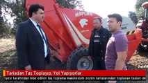 Tarladan Taş Toplayıp, Yol Yapıyorlar