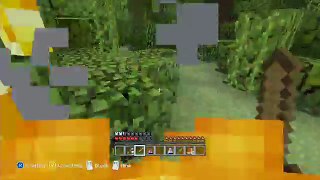 Minecraft Xbox - Hunger Games (Catching Fire Edition)