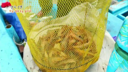 한국기행 - Korea travel_가을 밥도둑을 잡아라 4부 가을 왔'새우'_#002