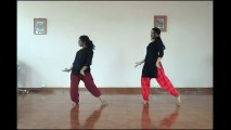 Dola Re Dola - Devdas _ Dynamic Dance Duo