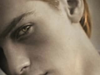 fascination stephenie meyer