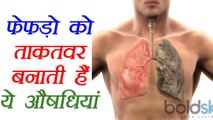 Lungs Health: Herbs for healthy lungs | स्वस्थय फेफड़ों के लिए जड़ीबूटियां | Boldsky