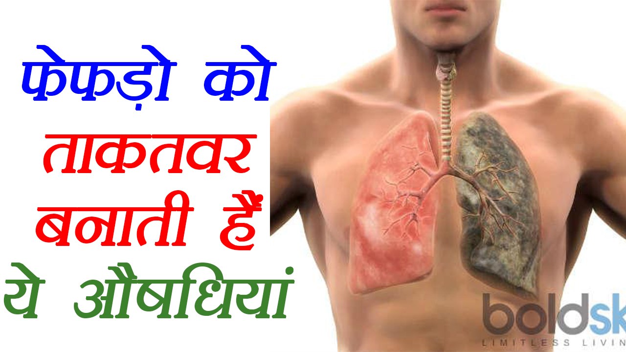 Lungs Health: Herbs for healthy lungs | स्वस्थय फेफड़ों के लिए जड़ीबूटियां | Boldsky