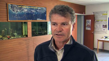 Frédéric Bachet, directeur du Parc Marin de la Côte Bleue.