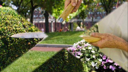 Blue Star Landscaping LLC - (732) 204-6564