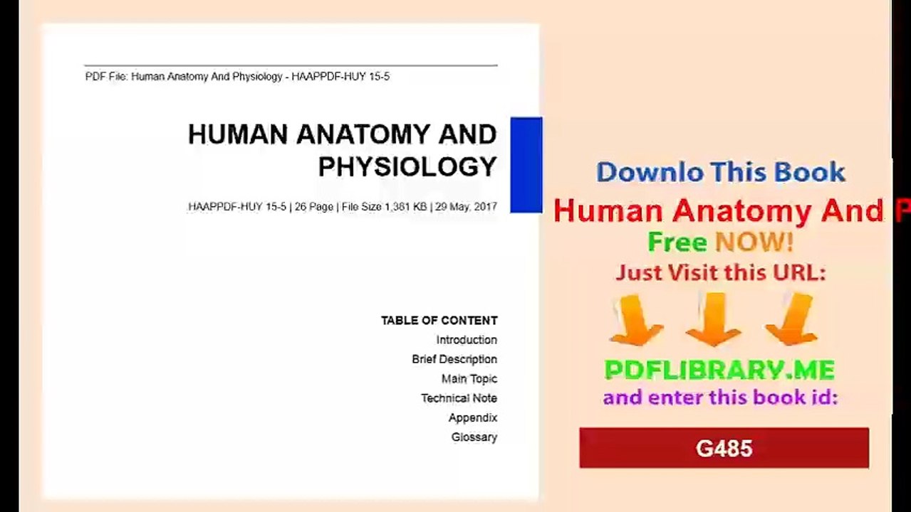 Human Anatomy And Physiology