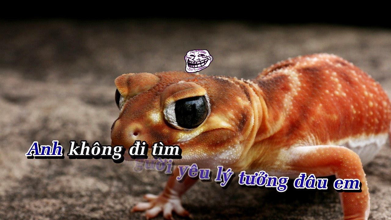 [Karaoke Nhạc Sống] Tình Nghèo Có Nhau.