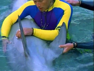 Flipper 1995 S01e22 Flipper Speaks!