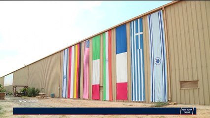 La crème de l'aviation militaire dans le ciel israélien