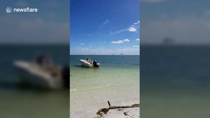 Baseball legend practicing flying stunts days before fatal crash