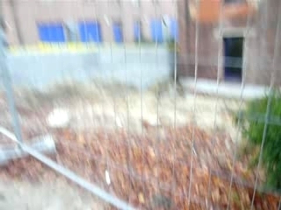 P1040918