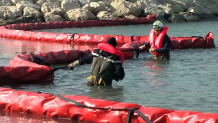 Quelques extraits de l'exercice