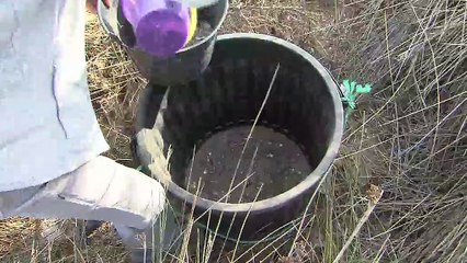 Les explications de Luc Brun, directeur du Sibojaï et garde du littoral