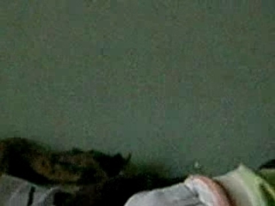 Maxim a 9 heures du matin