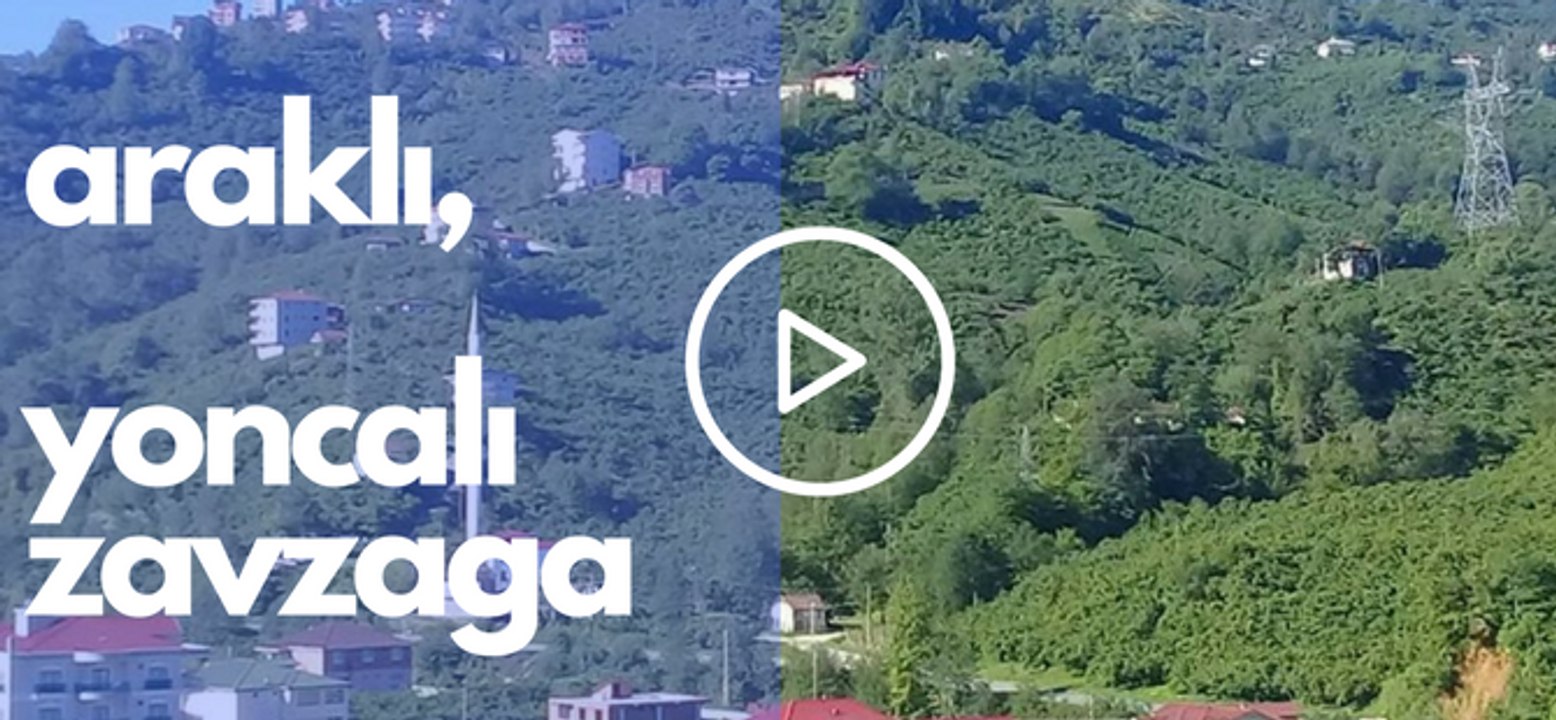 Arakli-Yoncali-zavzaga