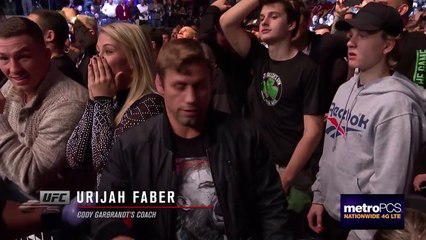 UFC 217- The Thrill and the Agony Preview