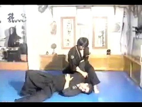 Hapkido Yang Hum Kwan