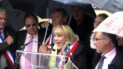 L'intervention de Maryse Joissains devant le Sénat.