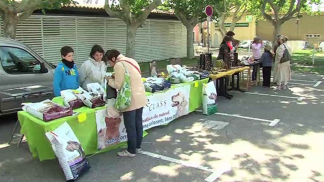 Les images de la fête du foin avec les explications du truculent président du comité des fêtes