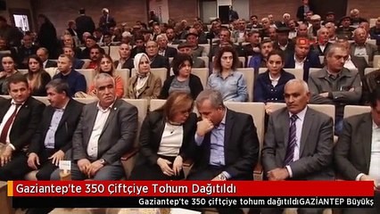 Gaziantep'te 350 Çiftçiye Tohum Dağıtıldı