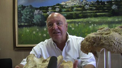 Le Crocodile de Velaux revient à la maison !