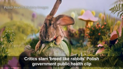 Critics slam 'breed like rabbits' Polish government health clip